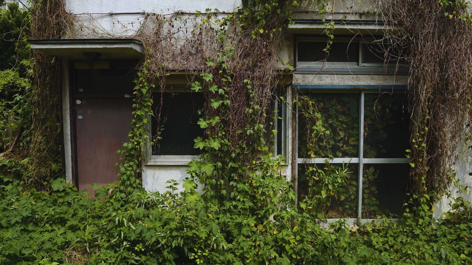 Confirm the Property is Abandoned